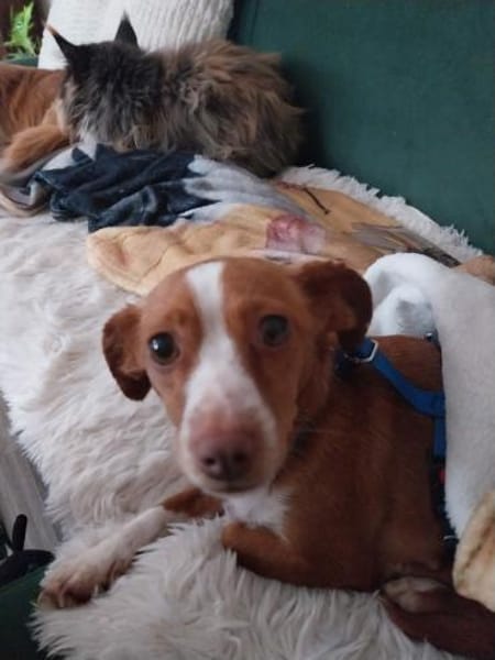 Imani kleiner Sonnenschein 🍀