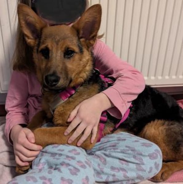 Kleine Saba möchte dein Herz erobern