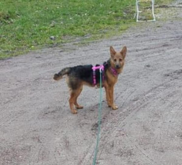 Kleine Saba möchte dein Herz erobern