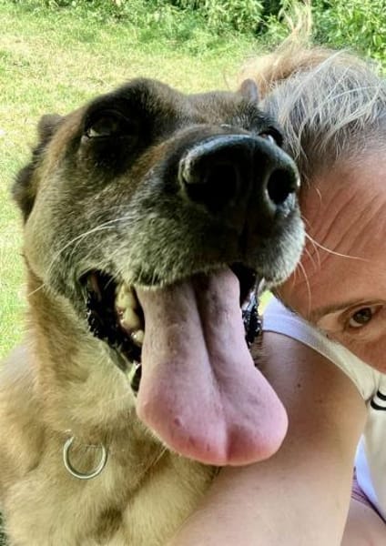 Notfallhund RUBY sucht ♥ ‼🆘‼