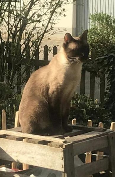 Egon sucht seinen Lieblingsmensch