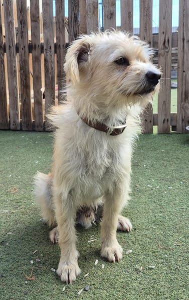 BOLT 🌸 unser süßes Sensiblechen