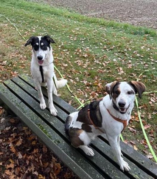 Aury, 12/2024, 33142 Büren-Wewelsburg