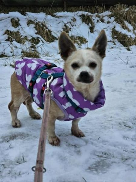 LONI * zauberhafte Omi