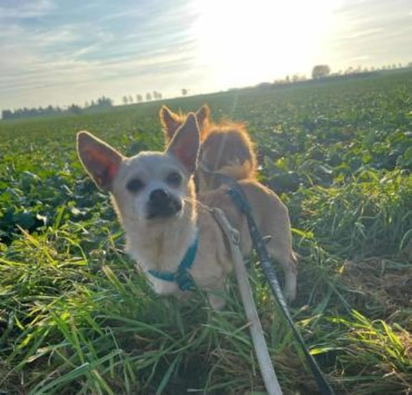 LONI * zauberhafte Omi