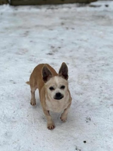 LONI * zauberhafte Omi