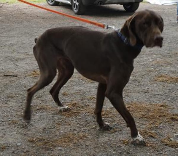 Asia, lernfreudig, freundlich, offen