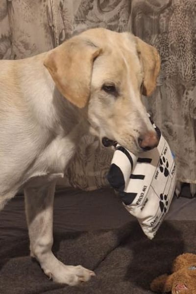 Neo wartet auf seine Familie