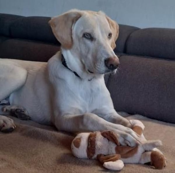 Neo wartet auf seine Familie