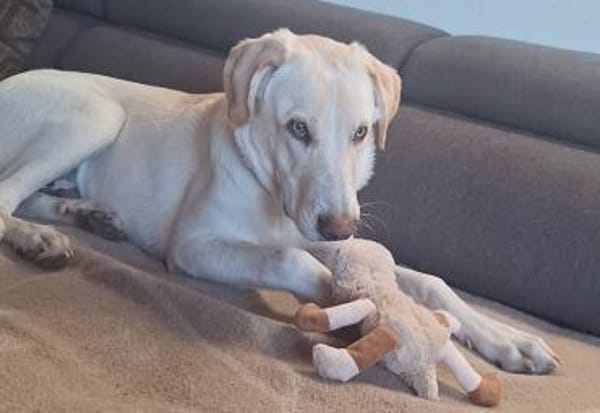 Neo wartet auf seine Familie