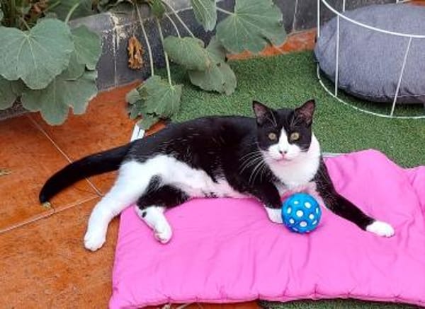 Schatz Biky bei FFM(ALO)