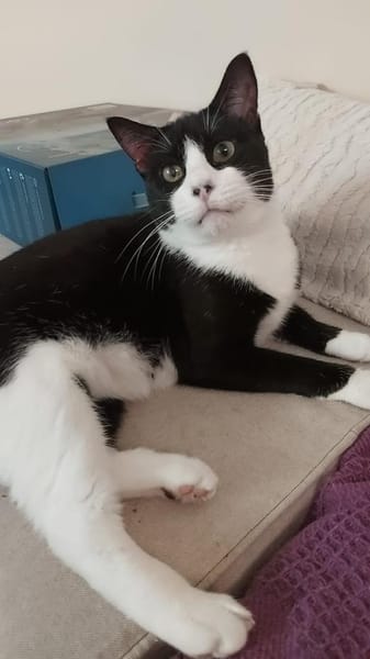 Schatz Biky bei FFM(ALO)