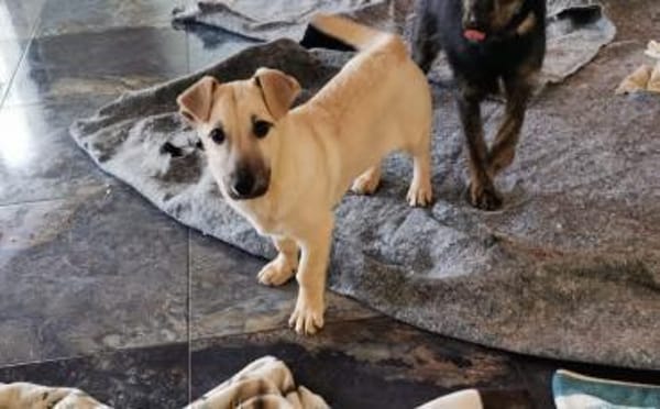 Herr Sander wartet auf dich