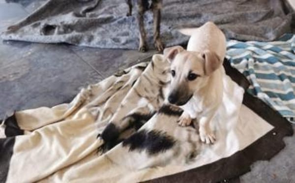 Herr Sander wartet auf dich