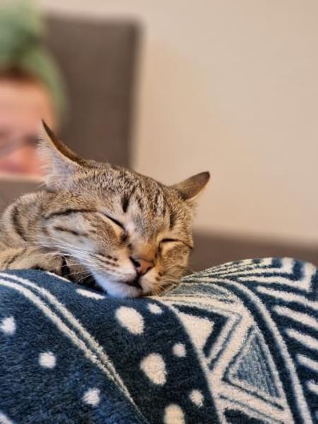 Charly sucht seinen Dosenöffner