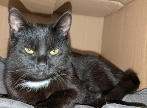 Igor, Luzi, Leni finden vllt. gemeinsam