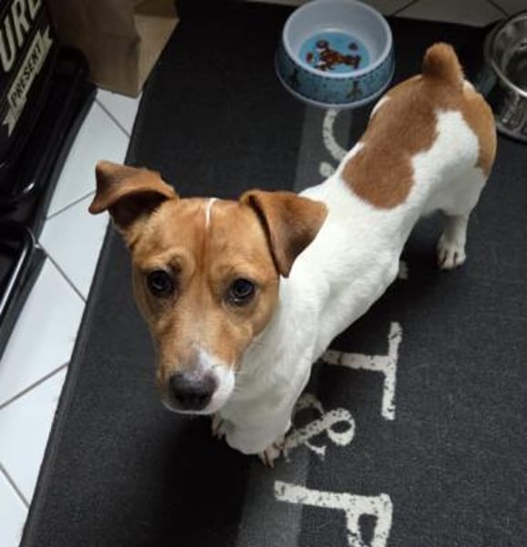 Jackie sucht ihre Familie