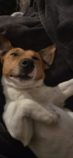 Jackie sucht ihre Familie