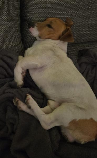 Jackie sucht ihre Familie