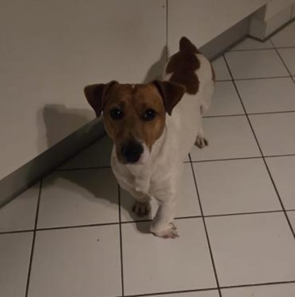 Jackie sucht ihre Familie