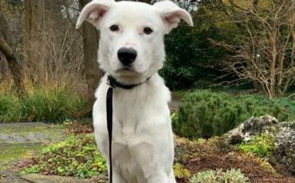 Der hübsche Pepe wartet auf dich!