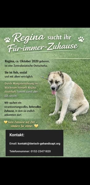 Regina so eine arme P