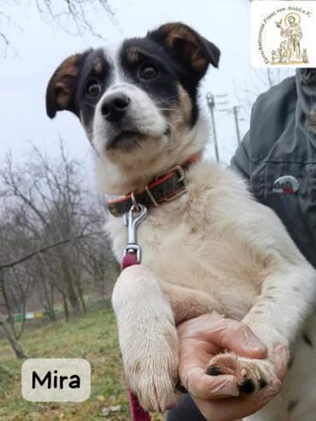 Mirawenn Ankommen kein Zufall sein soll