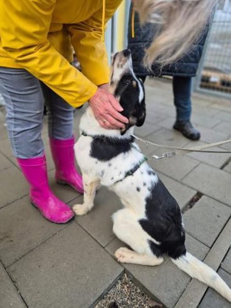 Mirawenn Ankommen kein Zufall sein soll