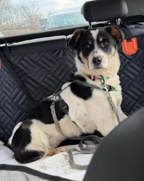 Mirawenn Ankommen kein Zufall sein soll