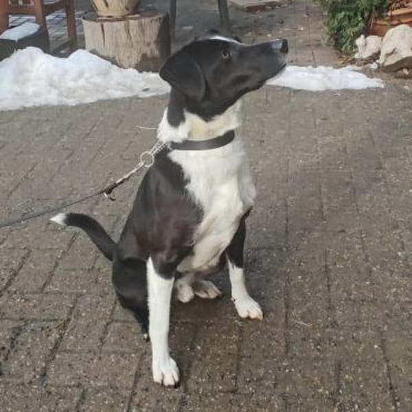 Lars sucht seine Menschen