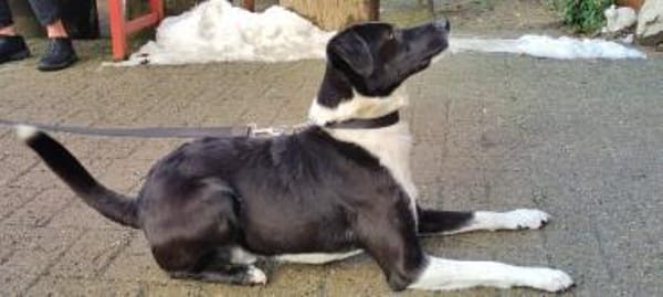 Lars sucht seine Menschen