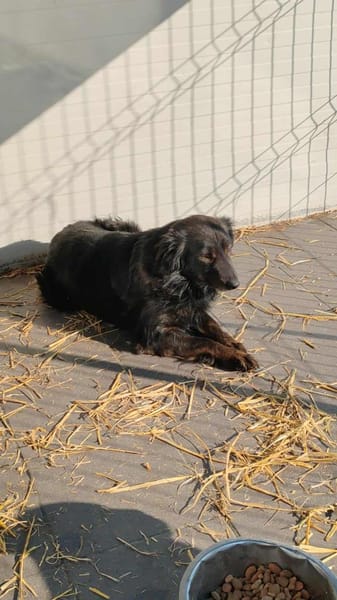 FURY auf PS in 65... Hünfelden