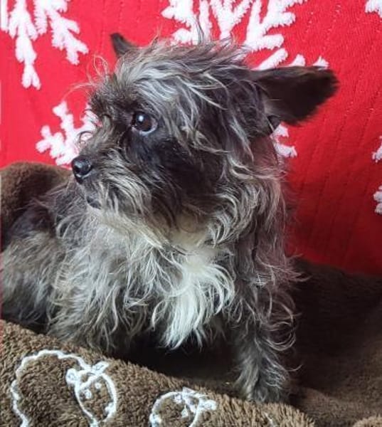 Saba° in 82362 Weilheim