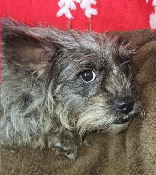 Saba° in 82362 Weilheim