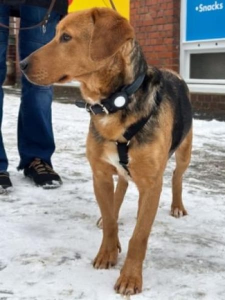 MOKKA - Bereit für neue Abenteuer