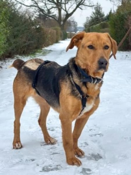 MOKKA - Bereit für neue Abenteuer