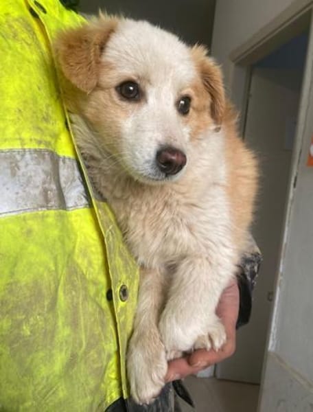 Frederic, geb. 08/2025, 79576 Weil a. R.