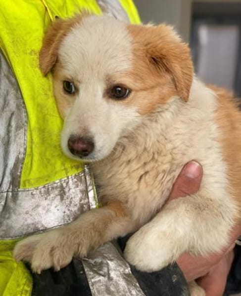 Frederic, geb. 08/2025, 79576 Weil a. R.