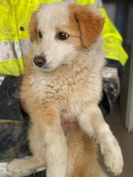 Frederic, geb. 08/2025, 79576 Weil a. R.