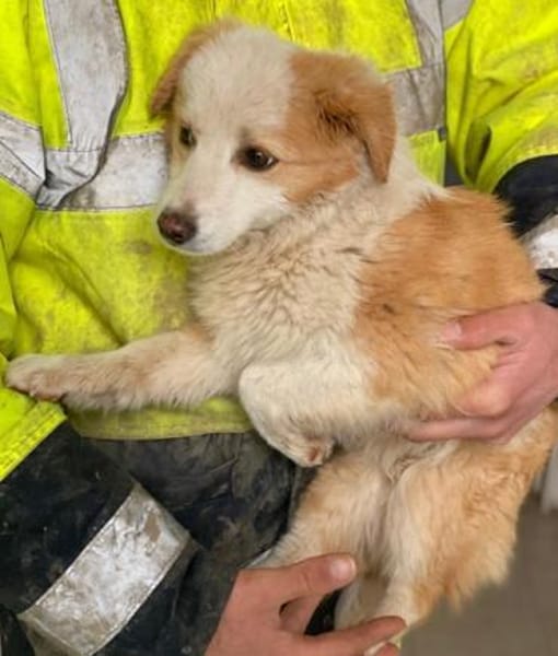 Frederic, geb. 08/2025, 79576 Weil a. R.