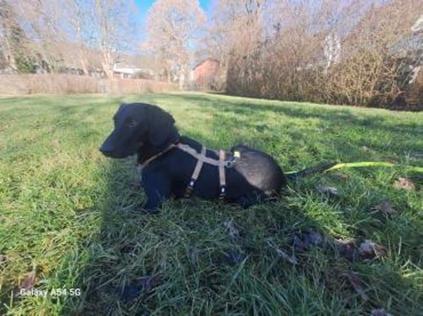 💙Cormac💙 such sein Zuhause