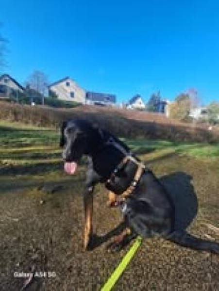 💙Cormac💙 such sein Zuhause