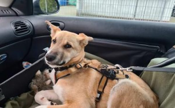 Quax - Bereit für Abenteuer?