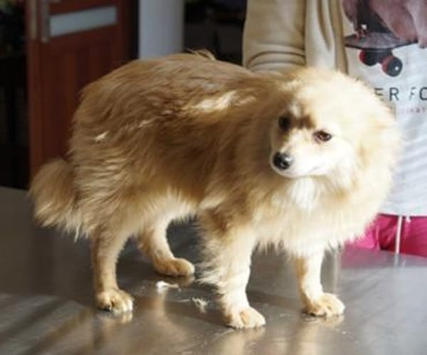 Indigo°  61194 Niddatal