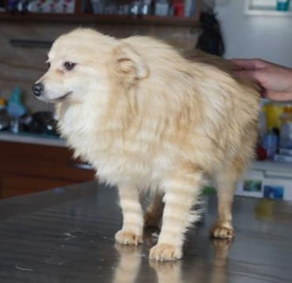 Indigo°  61194 Niddatal