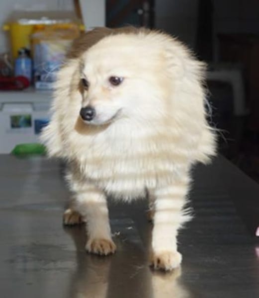 Indigo°  61194 Niddatal