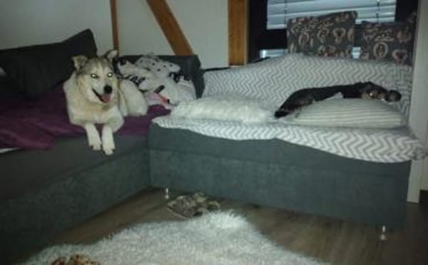 Einsame Cora sucht Familienanschluss