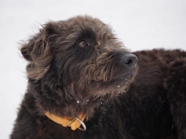 Clio möchte Vertrauen fassen