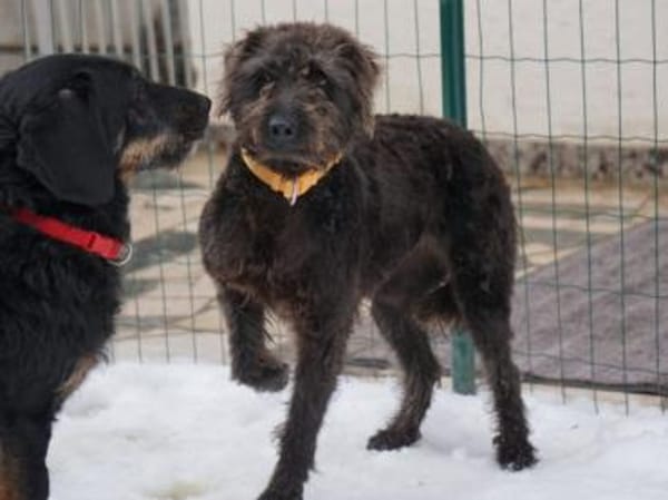 Clio möchte Vertrauen fassen