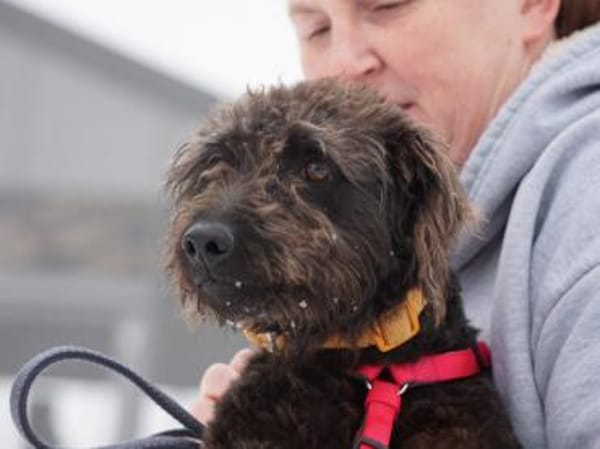 Clio möchte Vertrauen fassen